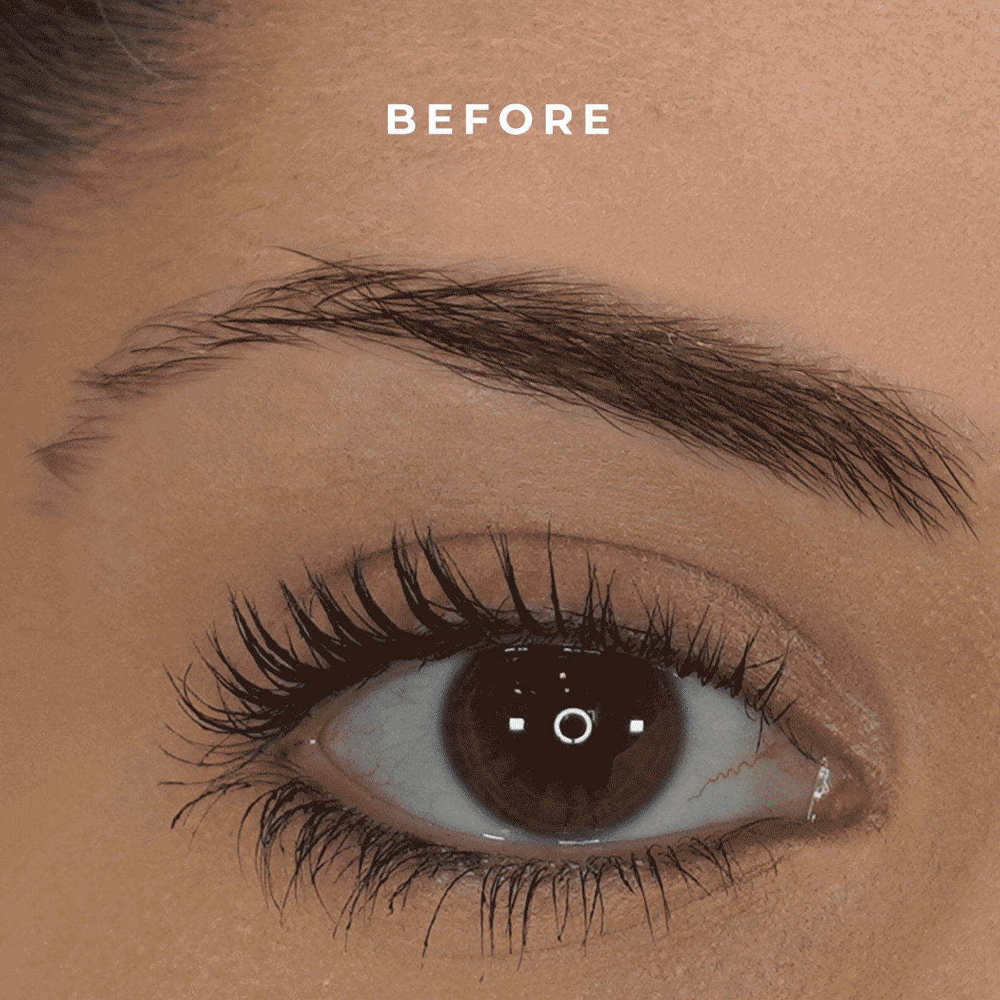 #color_dark-brunette