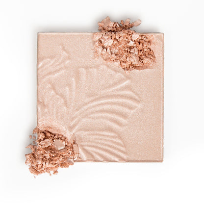 Wet and Wild - Megaglo Highlighting Powder