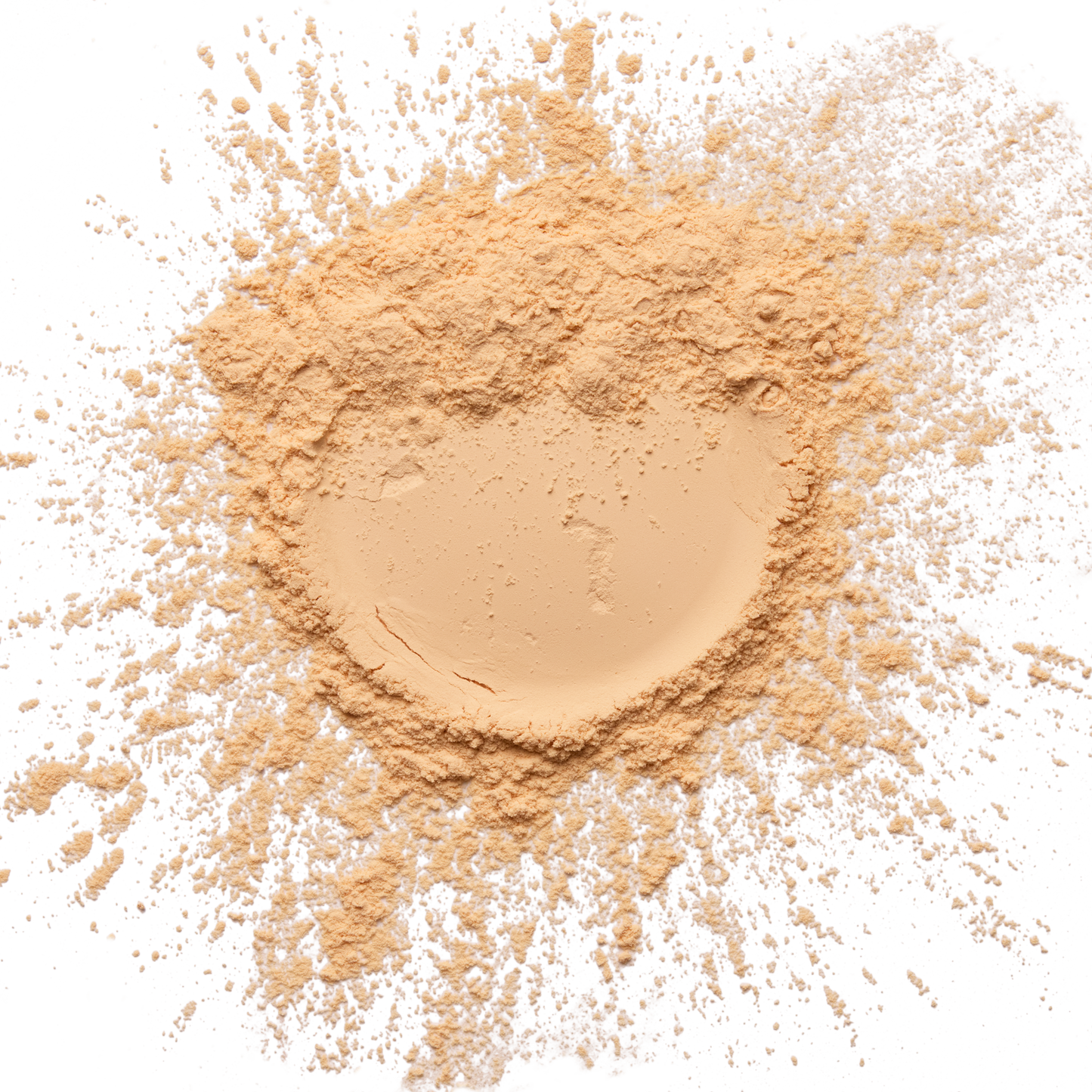 Wet and Wild - Photo Focus Loose Sett Powder