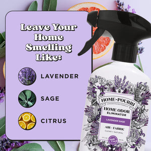 Lavender Sage