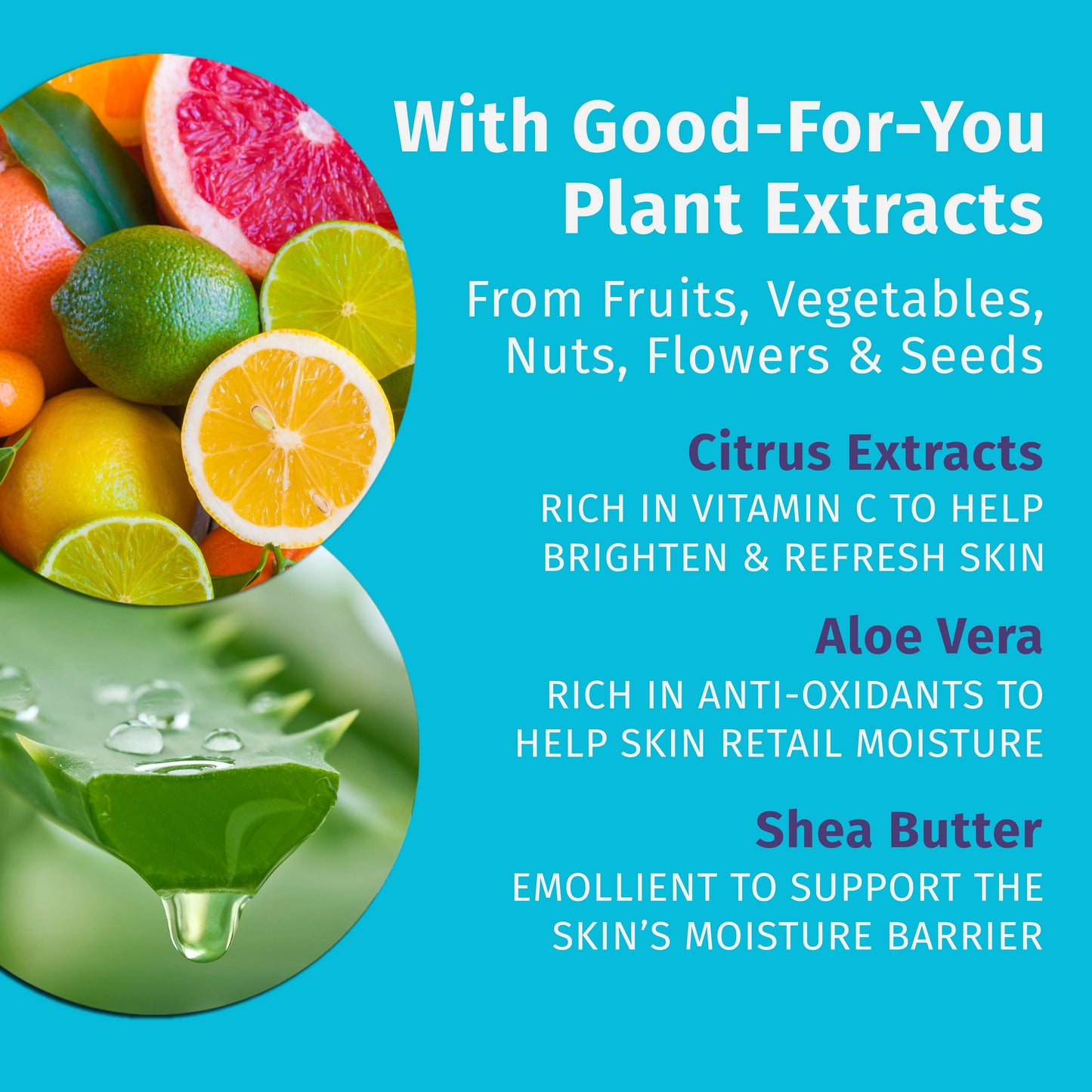 Hempz Citrus Blossom lotion with shea butter and aloe vera