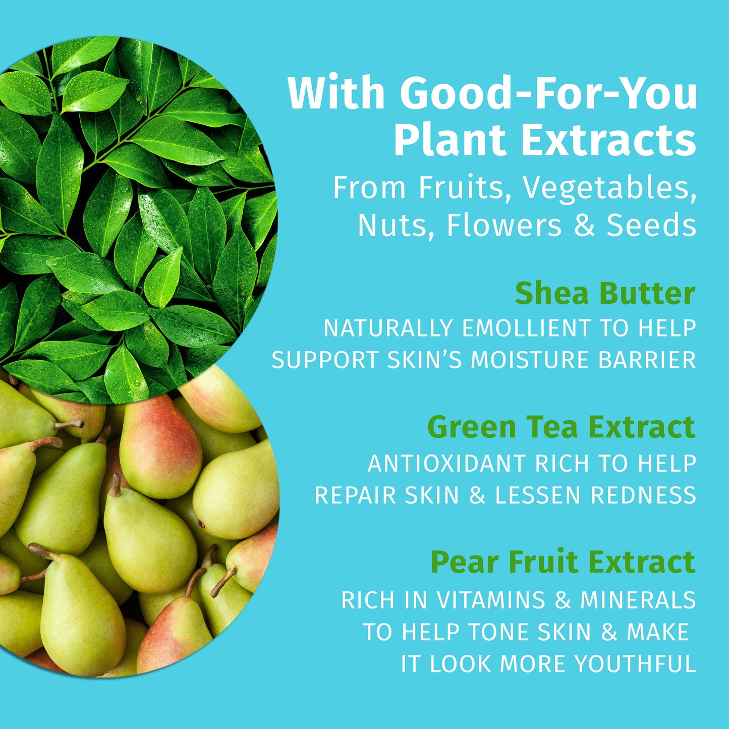 Hempz Exotic Green Tea Lotion with Pear Extract