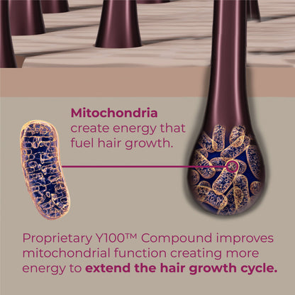 Mitochondria create energy that fuel hair growth.