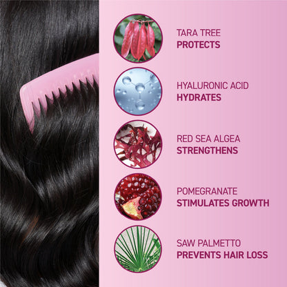 Tara tree protects, hyaluronic acid hydrates, red sea algea strengthens, pomegranate stimulates growth, saw palmetto prevents hair loss.